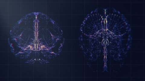 Brain scan animation. Vital signs are displayed on hi tech hospital monitor. Neurology data. MRI visualization video. Radiology, magnetic resonance research. Diagnosis of diseases. 4K 3D render clip