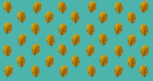 Animation of multiple orange autumn leaves over blue background. seasons, autumn, fall, colour and nature concept digitally generated video.
