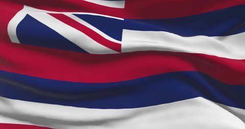 Hawaii state flag. HI United States of America news and politics illustration
