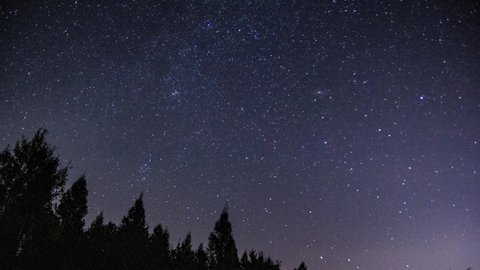 Beautiful star lapse. Night sky over forest. 