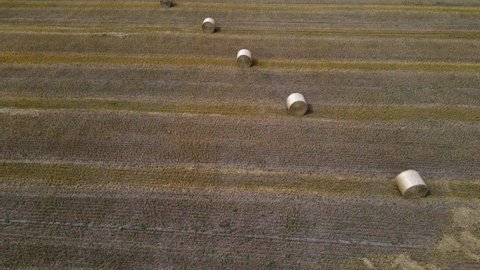 Rolled haystacks lying geometrically drone footage agriculture filed