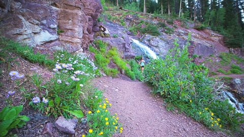 Waterfall river ground level view on trail to Ice lake near Silverton, Colorado in August 2019 summer with hike path wildflowers and one young woman hiking walking by
