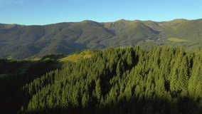 Majestic mountain valley on a sunny day with green alpine meadows. Location place Carpathian mountains, Ukraine, Europe. Cinematic aerial shot. Discover the beauty of earth. Filmed in 4k, drone video.