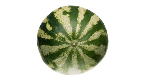Top view of watermelon rotating. White background.