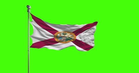 Florida State Flag Waving on chroma key background.  Unites States of America footage, USA flag animation