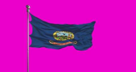 Idaho State Flag Waving on chroma key background. Unites States of America footage, USA flag animation
