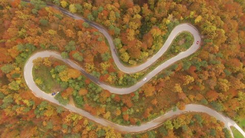 AERIAL, TOP DOWN: Cars cruise along the scenic road winding through the fall colored forest in the picturesque Slovenian countryside. Flying above a busy forest road on a beautiful autumn afternoon.