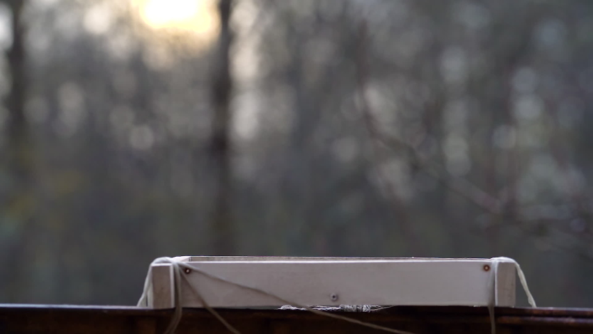 Tit bird is eating in bird feeder taking a piece of bread and flying away.