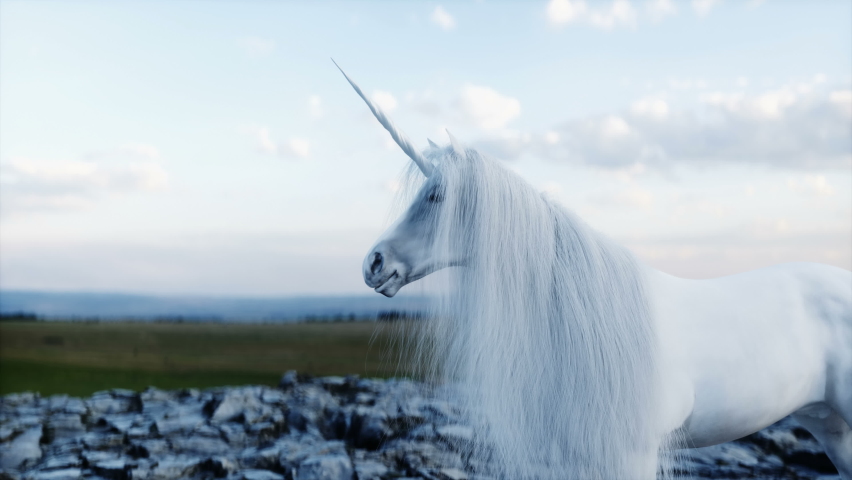 standing white magical unicorn in rocks. Realistic 4k animation. Royalty-Free Stock Footage #1079705582