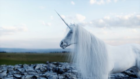 standing white magical unicorn in rocks. Realistic 4k animation.