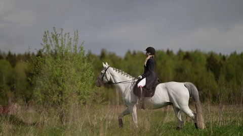 horse riding in field at summer, young woman jockey is sitting on stallion back