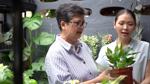 A retired elderly woman who likes to plant trees was glad that her daughter bought her an anthurium. A child who loves and cares for his mother.