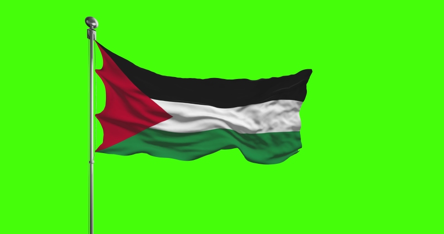 Как выглядит флаг palestine