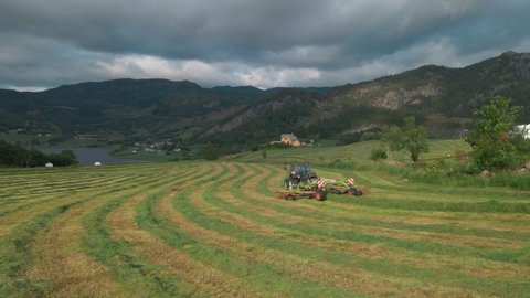 Tractor-drawn Grass Turner Working On Windrowed Grass At The Field In Norway With Overcast. wide drone