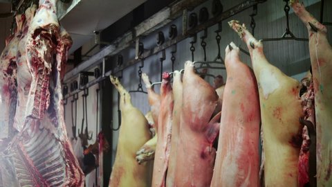 Slaughter Butcher House Hanging Beed Pork In Freezer. Slowly Tilt down camera
