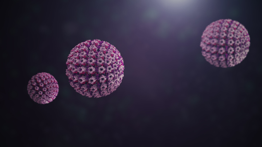 Human papillomavirus. Representation of viruses that cause human papillomavirus disease. | Shutterstock HD Video #1079747381