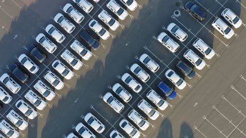 Aerial top down view of the dealership cars export or customs terminal in export and import business and logistics with a rows of new vehicles at sunset