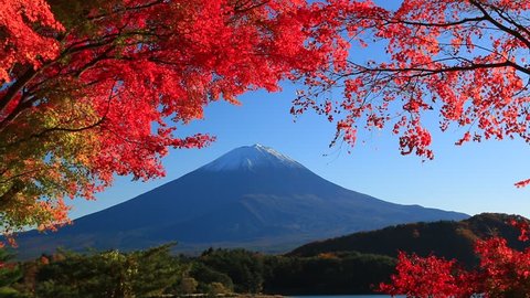 Beautiful Mt Fuji in Autumn Adlı Stok Video