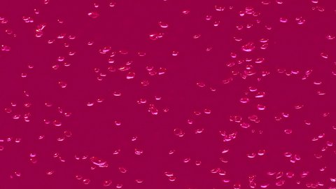 Maroon Macro Shot Various Air Bubbles Stock Footage Video (100% Royalty ...