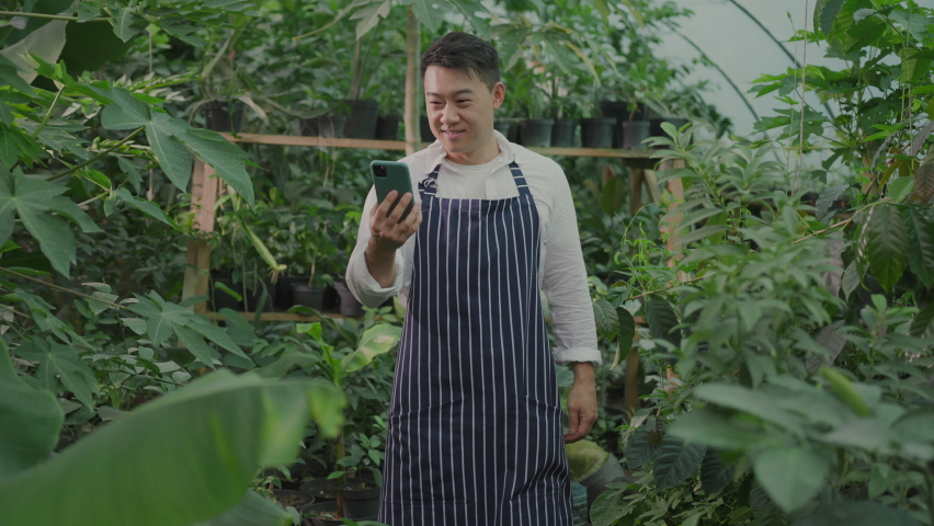 Successful young chinese farmer in apron holding mobile phone, receiving joyful message and celebrating instant fortune winning money. Worker in greenhouse. Royalty-Free Stock Footage #1079788721