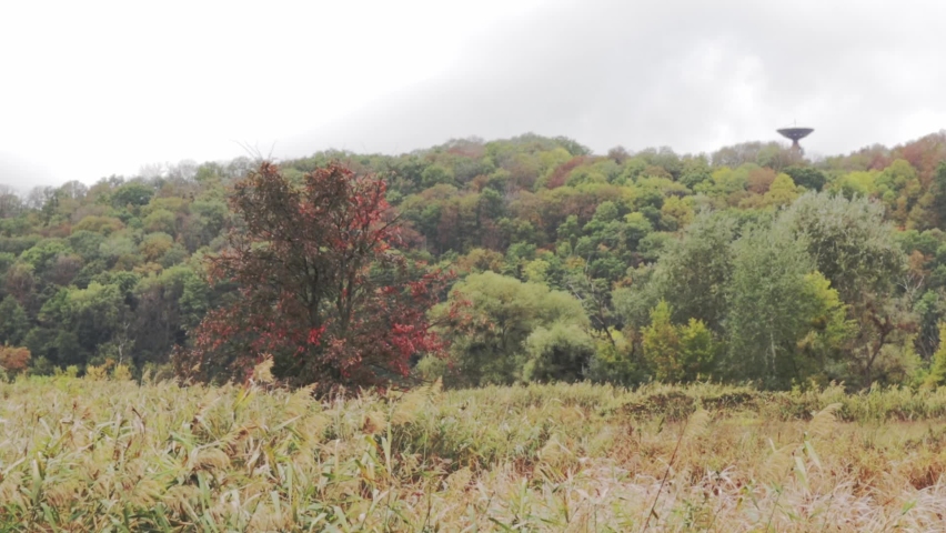nice landscape in the biologic station