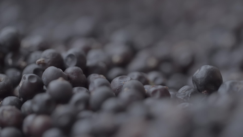 Lots of Juniper Berries at a Gin Distillery. Blue berry used in making craft gin, distillation, pull focus Royalty-Free Stock Footage #1079792489
