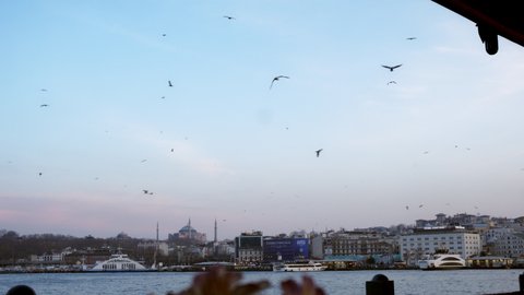 ISTANBUL, TURKEY - SEPTEMBER, 2021: seagulls flock flying evening sky in over Bosphorus, cityscape and mosque in distance. Urban landscape modern Istanbul city and Bosphorus in twiling