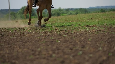 Horseback Riding. Slow motion shooting. Close-up.