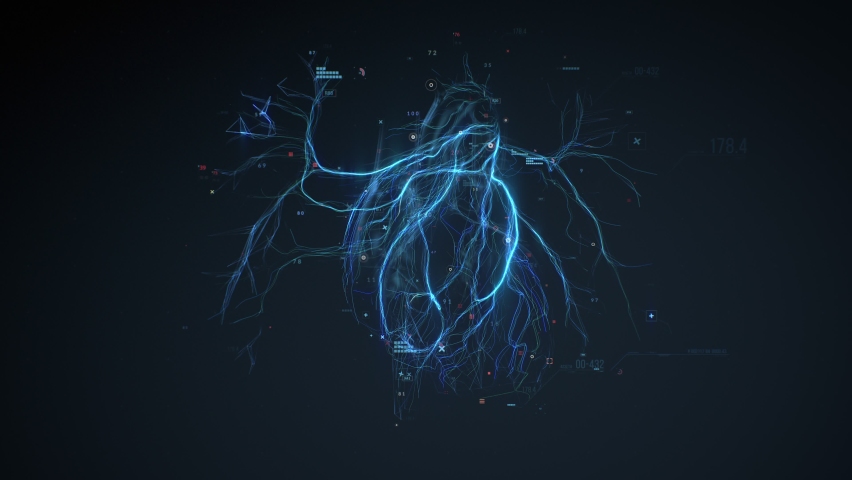 Digital model of the Human heart and major blood vessels. Diagnostic of the human circulatory system
