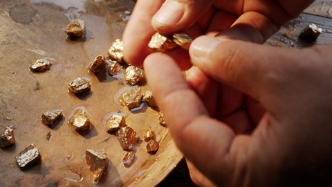 Male hands are fingering several pieces of gold nuggets over a bowl for washing the gold sand. 