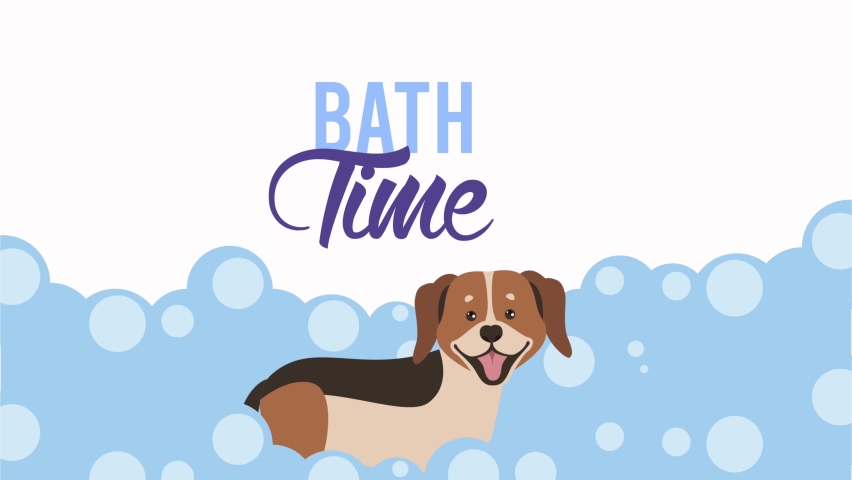 Bath animation. Бигль в ванной. Letter Dog
