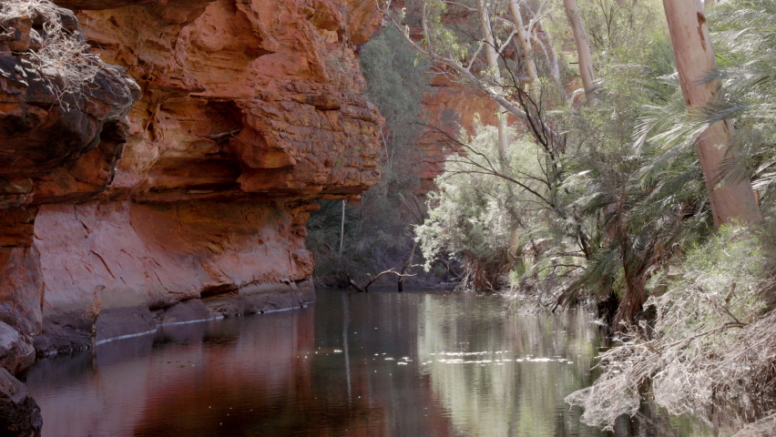 close view of a waterhole at kings canyon