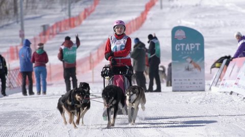 Girl mushing sled dog team, running on snowy race distance during Kamchatka Kids Competitions Dog Sled Racing Dyulin Beringia. Petropavlovsk City, Kamchatka Peninsula, Russia - February 20, 2020