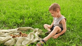 Kid playing with pet outdoor. Caucasian child caressing watch ducklings. Little boy having fun stroking ducklings. Leisure with domestic animal. Pet care. Funny boy touches a ducklings on a farm.