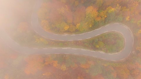 TOP DOWN: Flying above a hairpin turn of a scenic forest road on foggy fall day in the picturesque Slovenian countryside. Fog covers the hairpin turn of a switchback road in the fall colored woods.