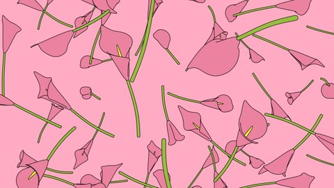 Pink calla lily flowers on pink background.
Toon style loopable animation for background.
