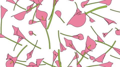 Pink calla lily flowers on white background.
Toon style loopable animation for background.
