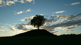 Timelapse sunset tree in the hill. Sky with clouds. Hopeful sky 4K
