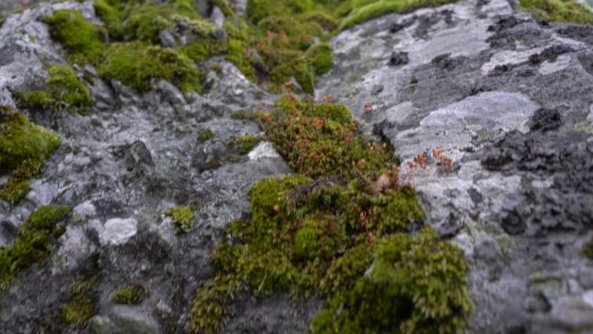 Mountain landscape with heavy fog and poor visibility road.