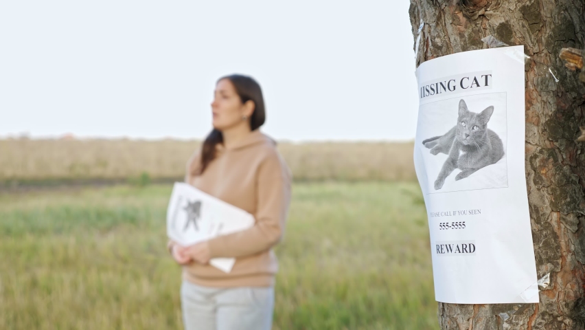 Nervous owner woman with flyers stack walks in autumn park focus on missing cat poster report with photo stuck on tree trunk close view