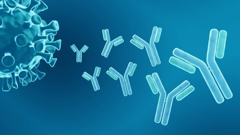 Antibodies, Immune response 3d animation