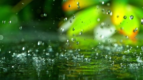 Super Slow Motion Shot of Raining at Green Water Surface, 1000fps.