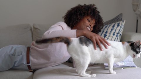 Woman with afro hair laying down on couch using her notepad journal and her cat comes in