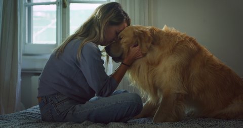 Cinematic shot of young happy smiling woman is caressing and kissing with affection her lovely golden retriever dog while having fun together on bed in bedroom at home.