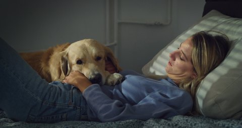 Cinematic shot of young serene woman is caressing with affection her lovely pet golden retriever dog while relaxing together before fall asleep on bed in bedroom at home.