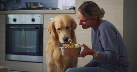 Cinematic shot of young happy female owner is giving bowl of granules to feed her hungry pet golden retriever dog in kitchen at home.