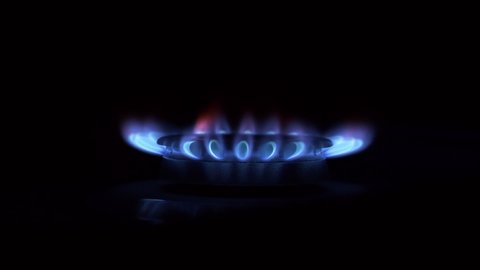 Kitchen cooktop gas burner. Seamless loop footage. Blue flame on gas stove burner in the dark.