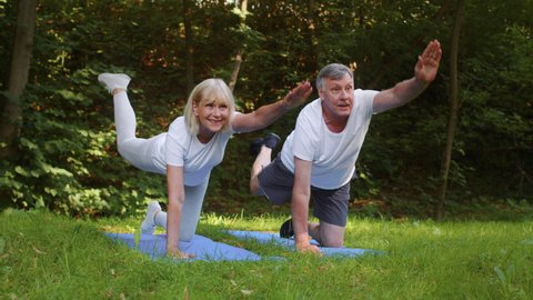 Fitness for seniors. Happy elderly man and woman exercising at public park, making active yoga exercise, practicing sports training on green grass, slow motion