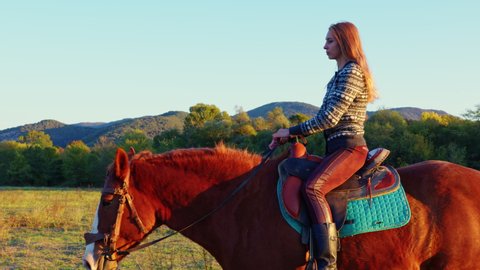 Slender girl sits astride horse who walks through meadow surrounded by trees, hills. Horsewoman. Young woman is engaged in horseback riding in nature. Sportive, active lifestyle. Sunny day. Summer