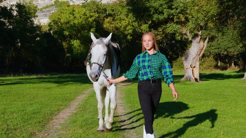 Sportive girl with sisterlock hairstyle leads white horse by reins along forest path. Horsewoman, jockette walking with palfrey in meadow surrounded by trees, mountain
